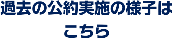過去の公的実施の様子はこちら