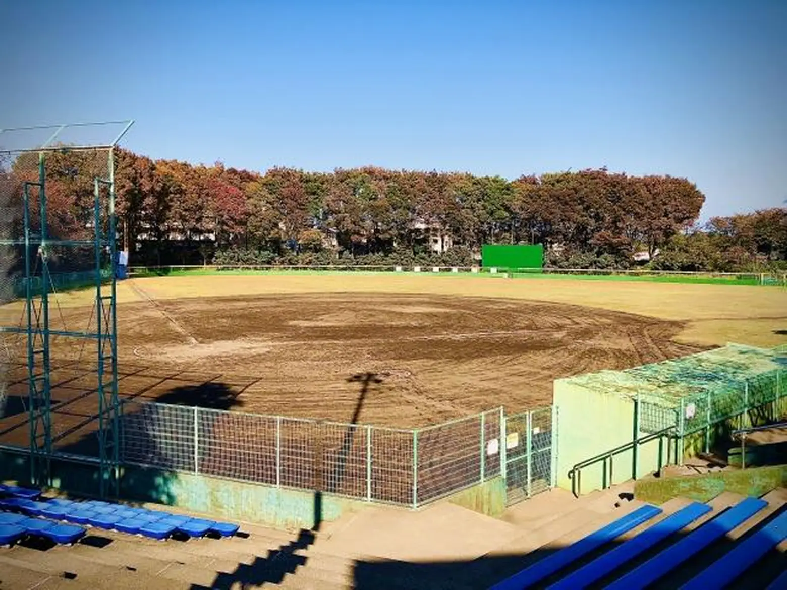 投球する野球選手