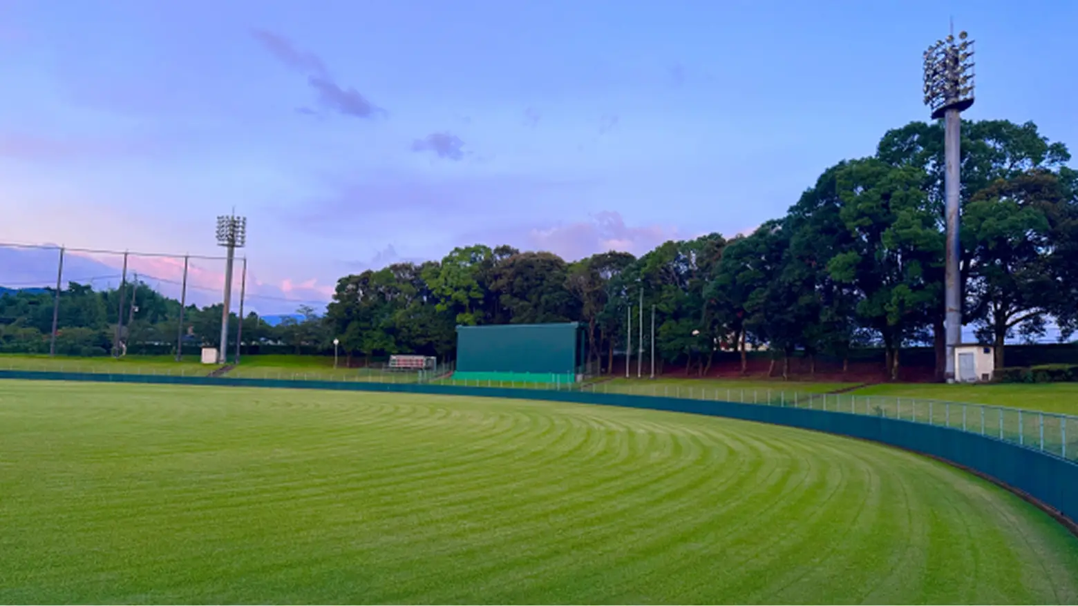 プロ野球の現役ドラフトとは？ルールや対象選手、過去の結果を解説
