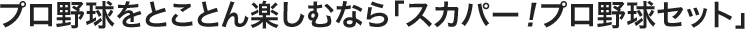プロ野球を思い切り楽しめる「スカパー！プロ野球セット」 