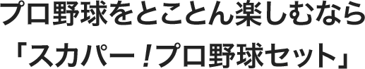 プロ野球を思い切り楽しめる「スカパー！プロ野球セット」 