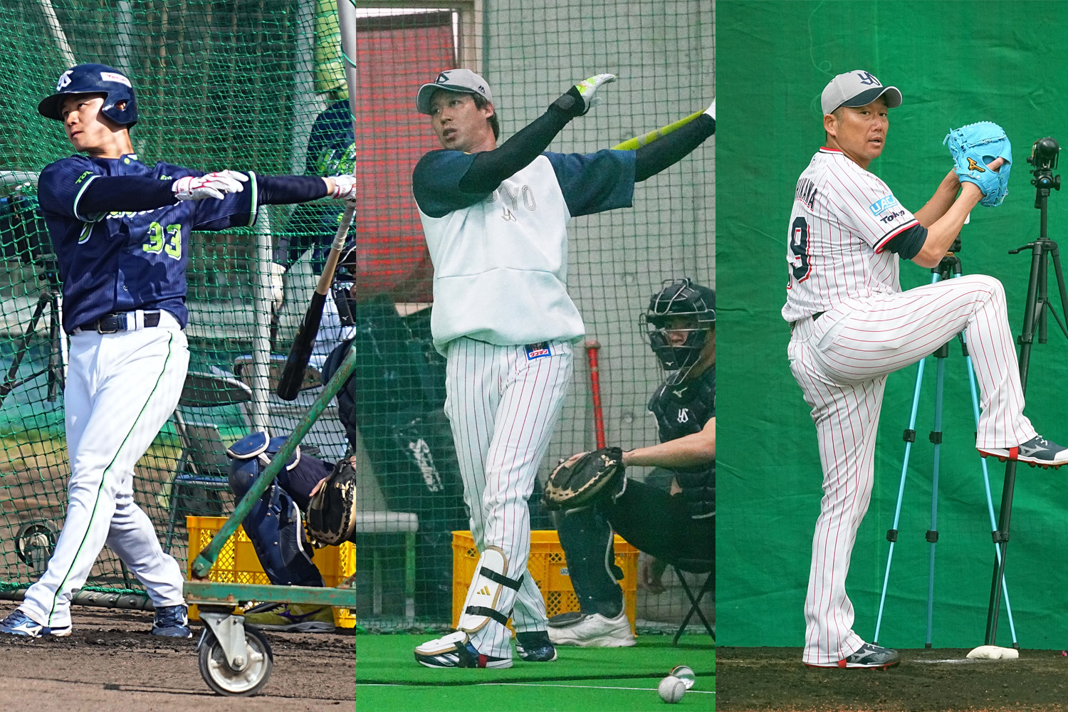 SWALLOWS CAMP L!VE 2026