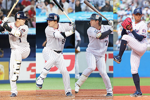 SWALLOWS BASEBALL L!VE 2024