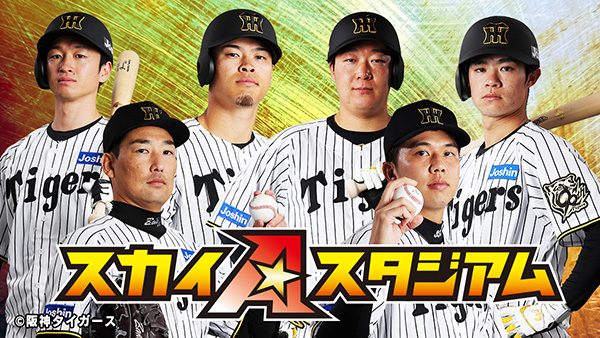 スカイA スタジアム<br>阪神タイガース 公式戦