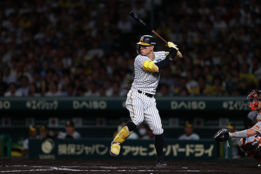 スカイA スタジアム 阪神タイガース公式戦