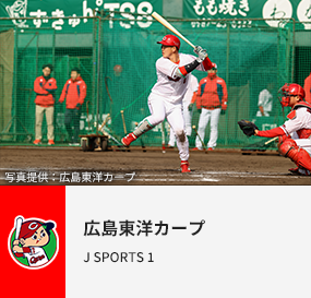 広島東洋カープ