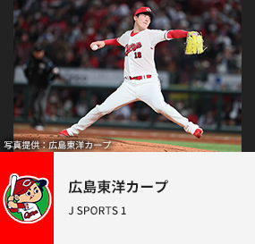 広島東洋カープ
