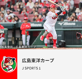 広島東洋カープ