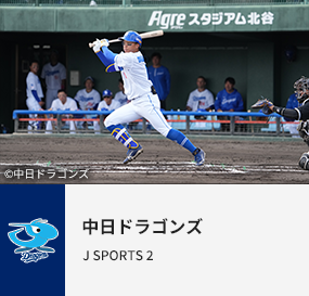 中日ドラゴンズ