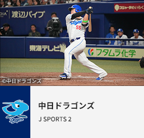 中日ドラゴンズ