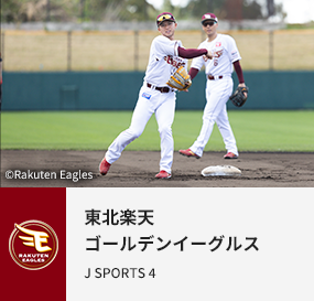 東北楽天ゴールデンイーグルス