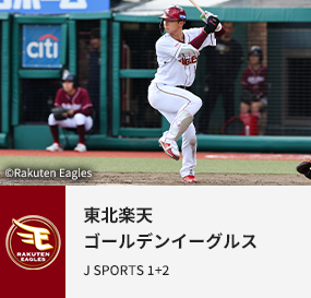 東北楽天ゴールデンイーグルス