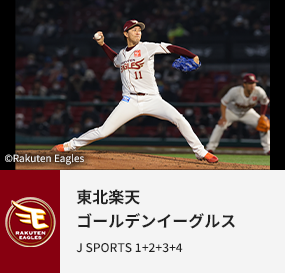 東北楽天ゴールデンイーグルス