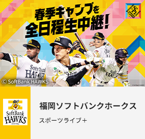 福岡ソフトバンクホークス