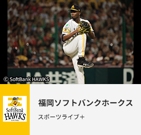 福岡ソフトバンクホークス