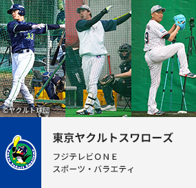 東京ヤクルトスワローズ
