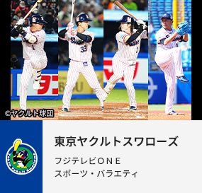 東京ヤクルトスワローズ