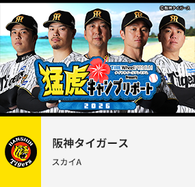 阪神タイガース