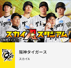 阪神タイガース