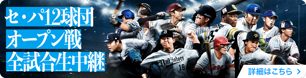 プロ野球セットアプリ